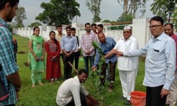 Image-1-300x200-2-300x200