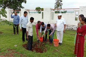 Image-12-300x200-1-300x200