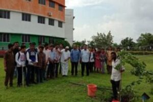 Image-2-300x200-1-362x217