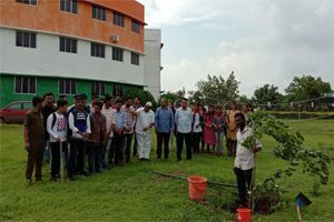 Image-2-300x200-2-300x200