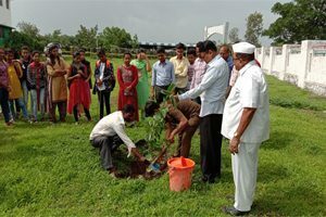 Image-4-300x200-2-300x200