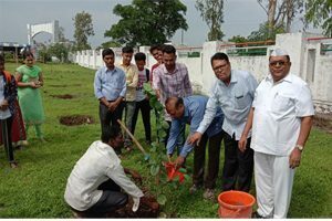 Image34-300x200-1-300x200