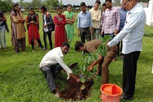 Image36-300x200-1-300x200