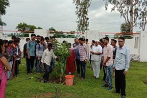 Image37-300x200-1-300x200