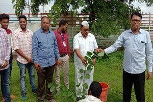 Image38-300x200-2-300x200