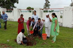 Image46-300x200-2-300x200