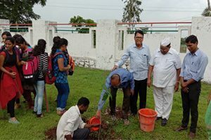 Image5-300x200-4-300x200