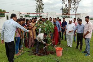 Image6-300x200-3-300x200