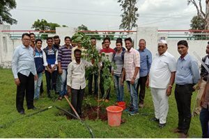 Image7-300x200-3-300x200