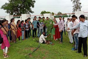 Image9-300x200-2-300x200