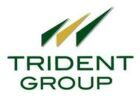 TRIDENT-GROUP-140x104